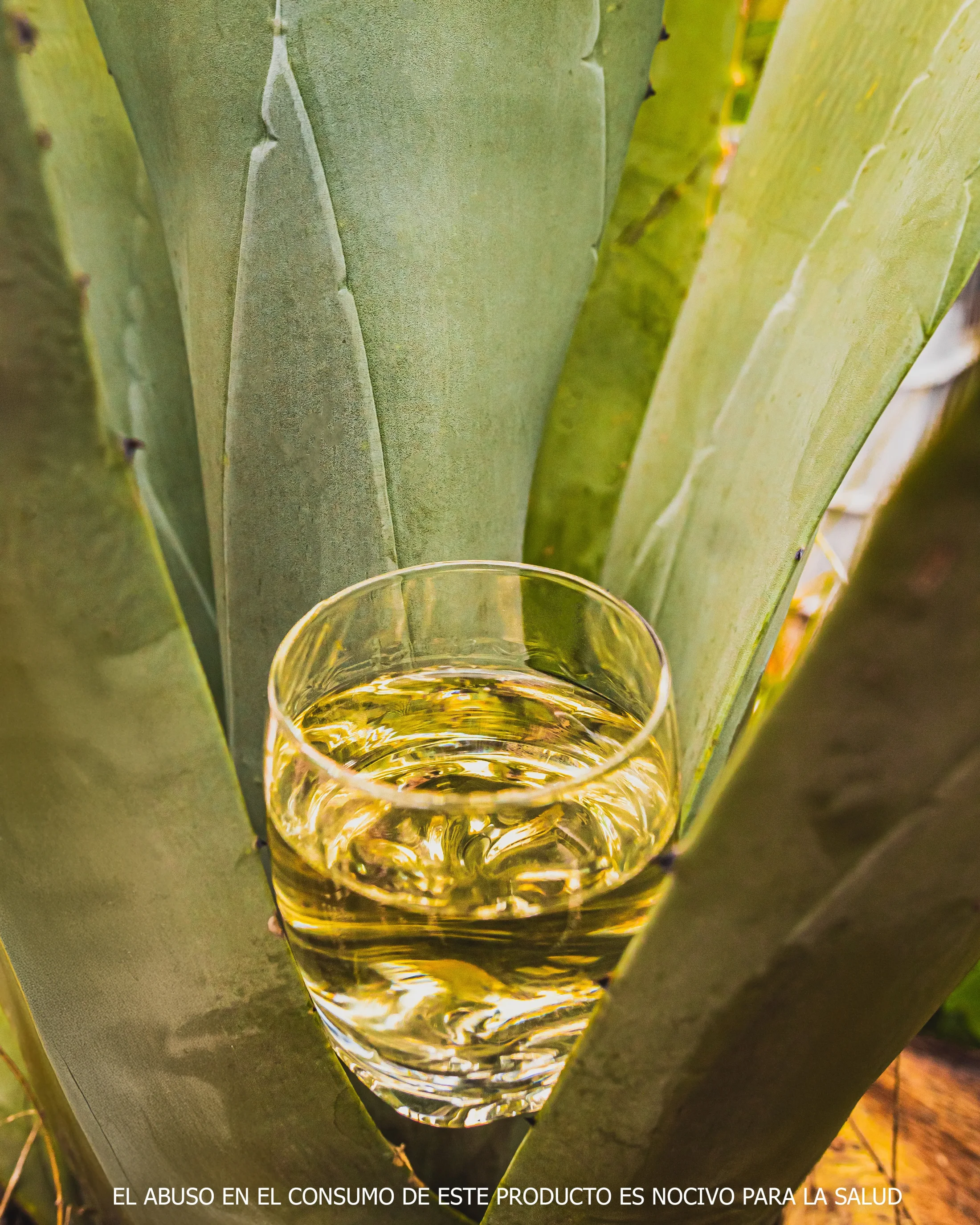 MEZCAL DA 10