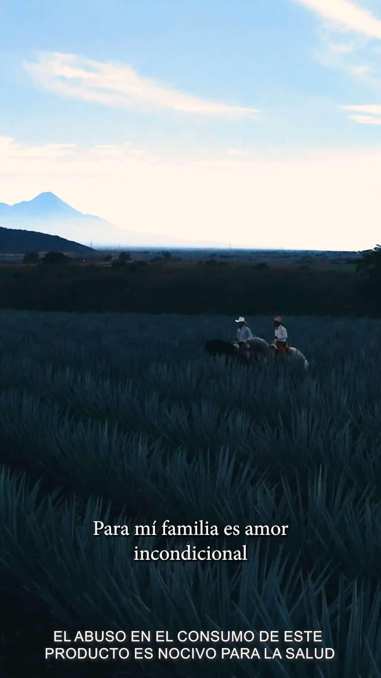 MISS UNIVERSE X TDA 2