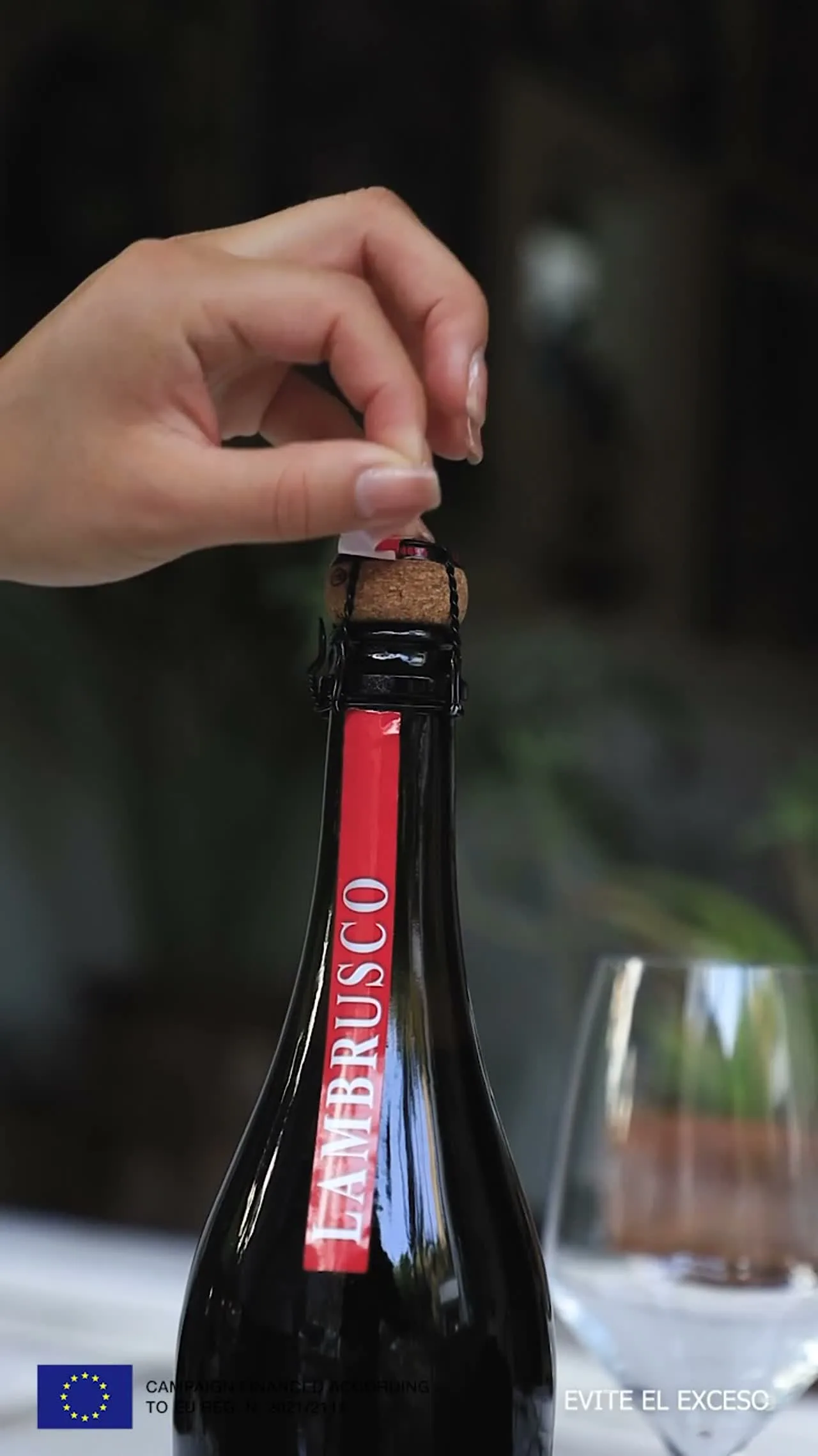 REELS DOLCE AMORE 15