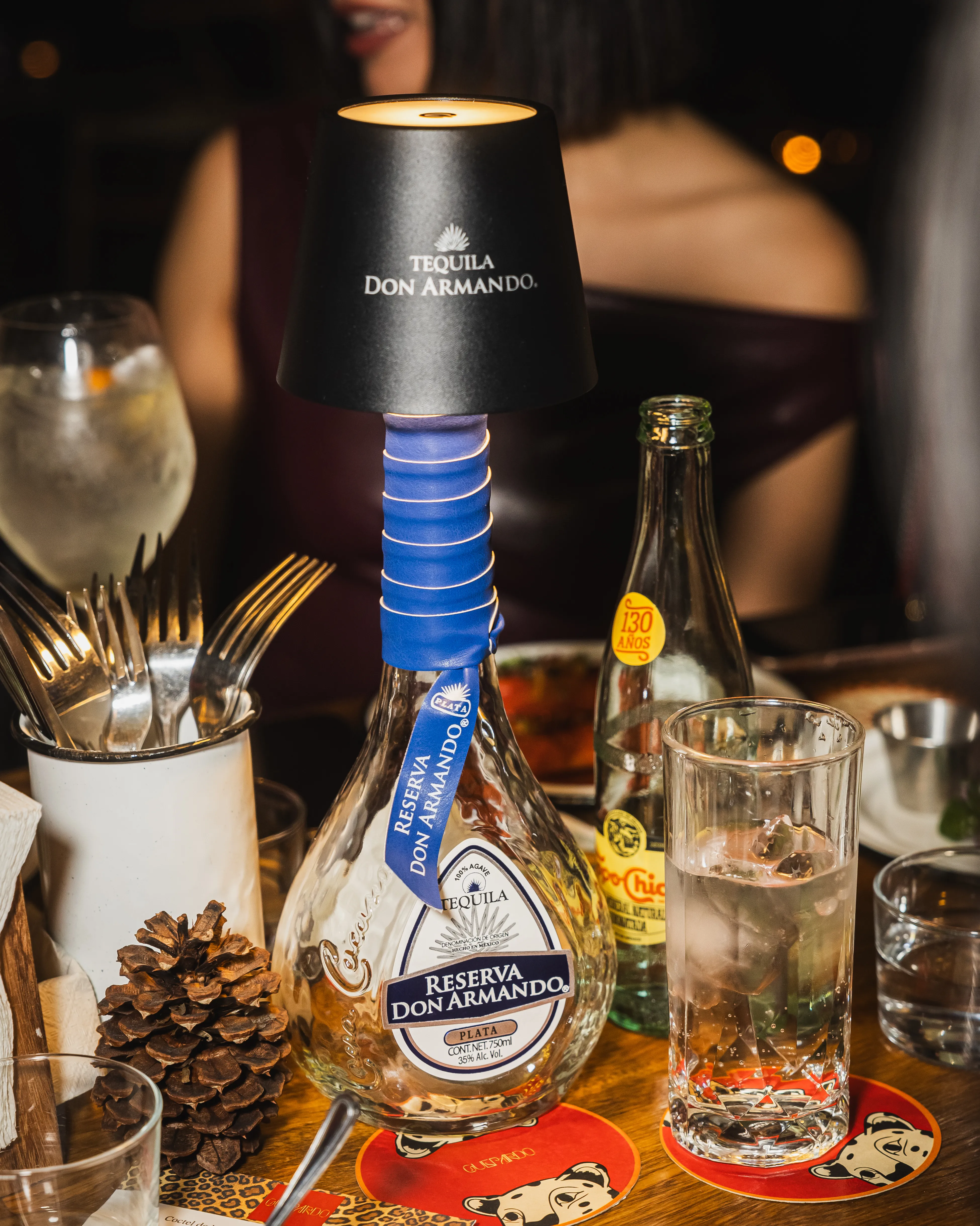 FOTO POSADA MU GUEPARDO 10