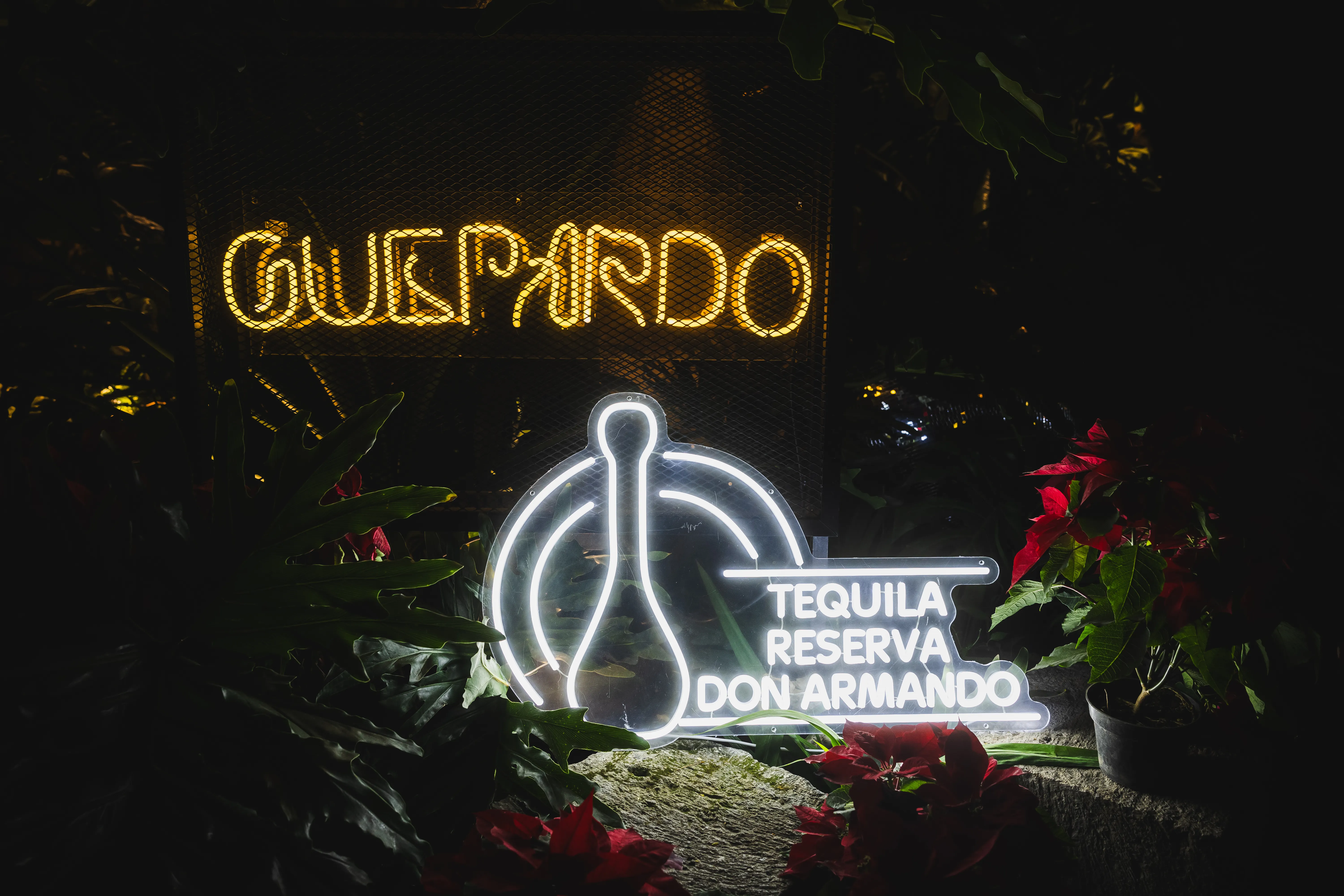 FOTO POSADA MU GUEPARDO 13